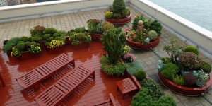 Cubiertas vegetales y jardines verticales