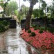 Flores en entrada