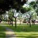Jardín y césped