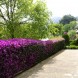 Jardinería Barcelona