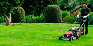 Mantenimiento de jardines