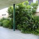 Mantenimiento Jardín